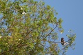 dscn2205.jpg