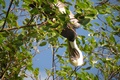 dscn2208.jpg