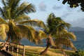 dscn2219.jpg