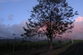 dscn2238.jpg