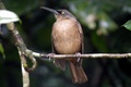 dscn2279.jpg