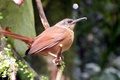 dscn2282.jpg