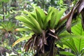 dscn2286.jpg