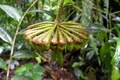 dscn2288.jpg