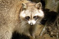 dscn2295.jpg