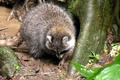 dscn2298.jpg