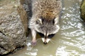 dscn2299.jpg