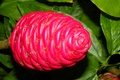 dscn2310.jpg