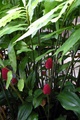 dscn2311.jpg