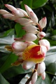 dscn2312.jpg
