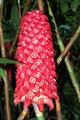 dscn2315.jpg