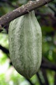 dscn2324.jpg