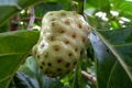 dscn2331.jpg