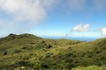 dscn2350.jpg