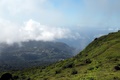 dscn2351.jpg