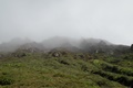 dscn2353.jpg