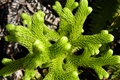dscn2356.jpg