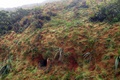 dscn2369.jpg