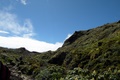 dscn2375.jpg