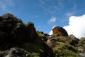 dscn2378.jpg