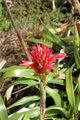dscn2394.jpg