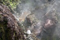 dscn2405.jpg