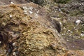 dscn2415.jpg