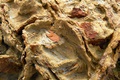 dscn2416.jpg