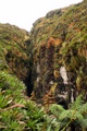 dscn2420.jpg