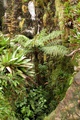 dscn2421.jpg