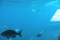 dscn2435.jpg