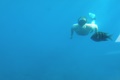 dscn2436.jpg