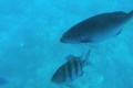 dscn2441.jpg