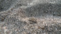 dscn2478.jpg
