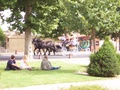 100_0691.jpg